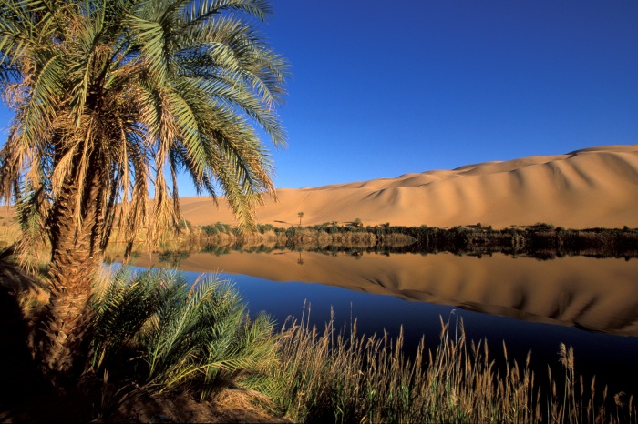 Libya Desert tour