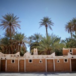 Derj_libya_palm_trees