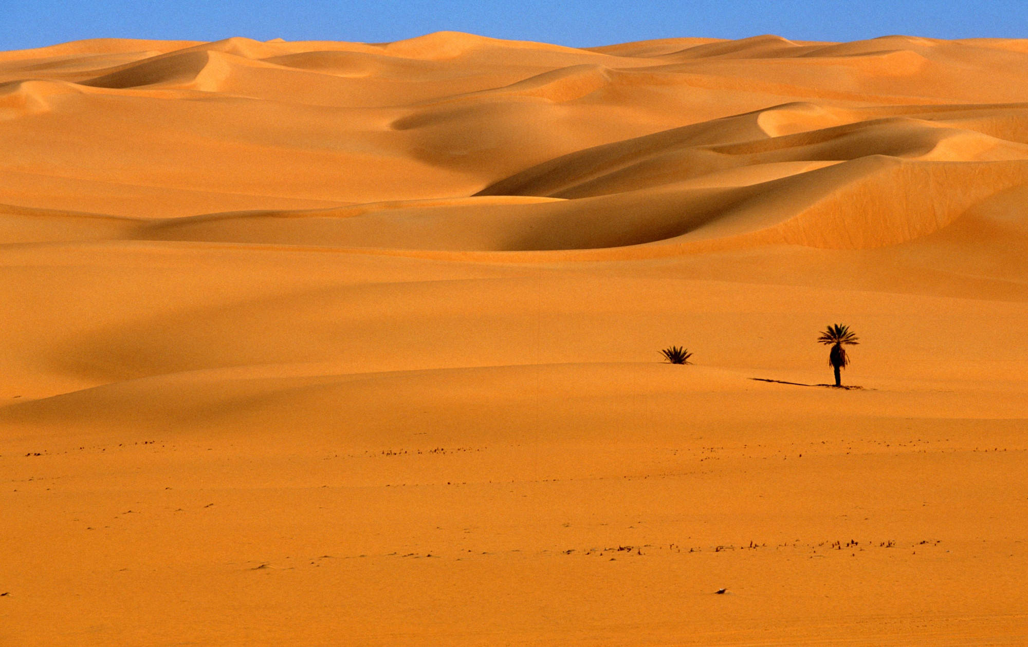 tour Libya Desert